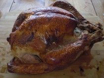 6ba75a7ccecca6dba0d8e9e40b23737c